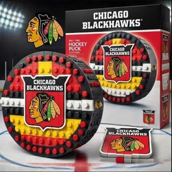 🏒 NHL Hockey Puck BRXLZ Builder Set – Official Team Edition