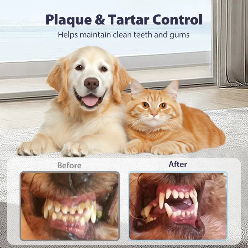 FOMONEST Dental Spray – Stop Bad Breath & Tartar at the Source