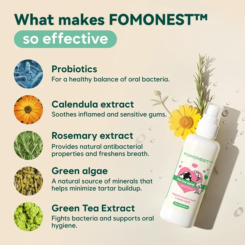 FOMONEST Dental Spray – Stop Bad Breath & Tartar at the Source