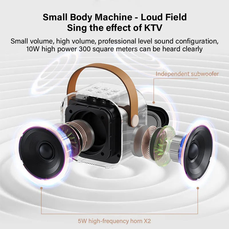 Portable Karaoke bluetooth speaker 2 Mic