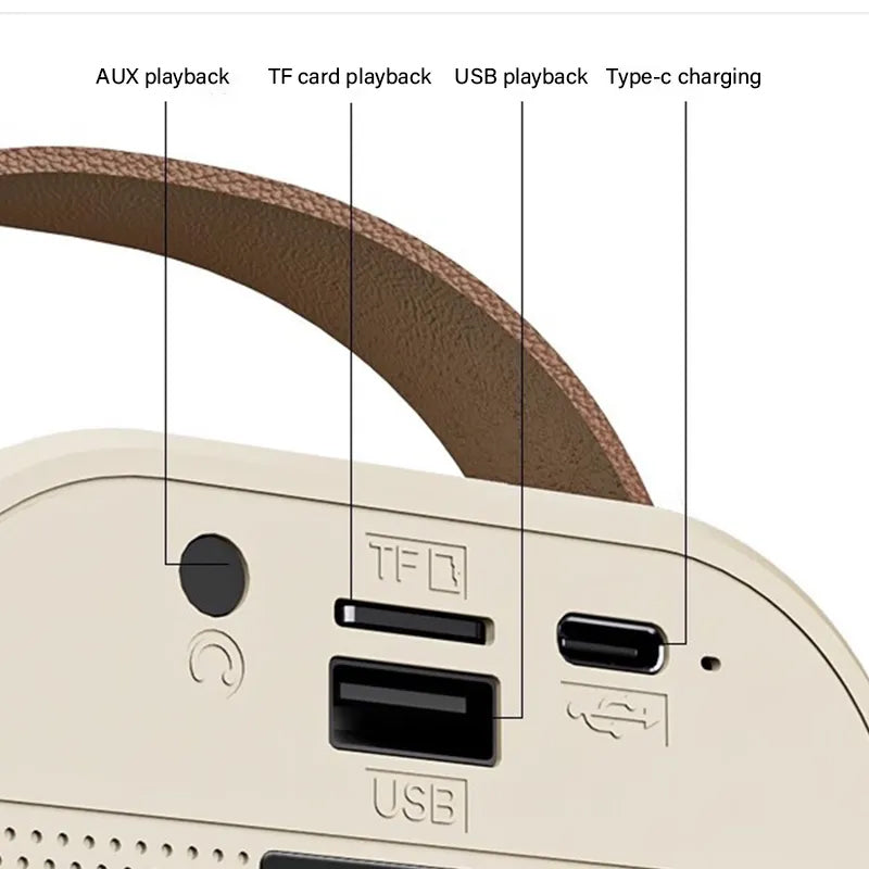 Portable Karaoke bluetooth speaker 2 Mic